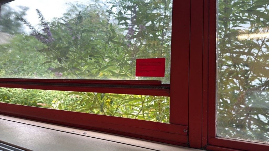 Red-framed window with a small red sticker containing text, showing blurred plants and flowers outside