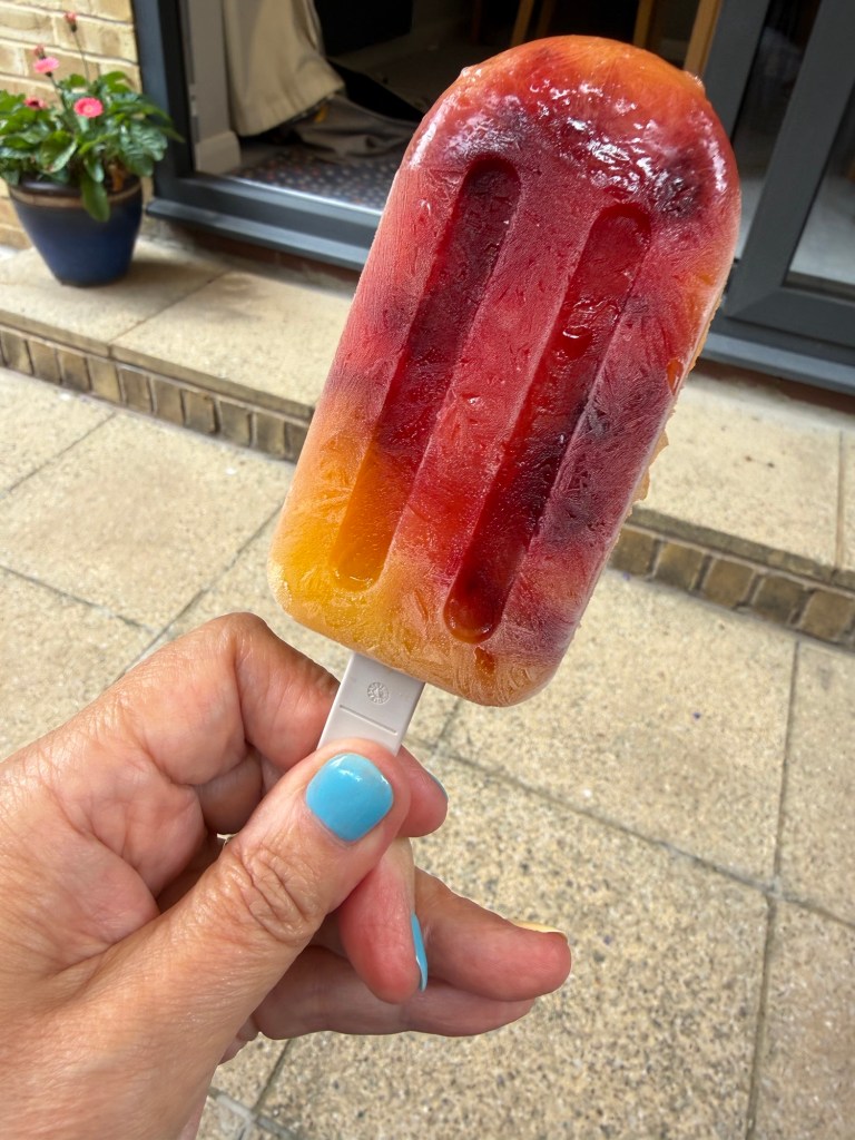 img_2159 Hand with blue and yellow finger nails holding a red and orange gradient ice lolly with a white stick outdoors near a window and potted plant